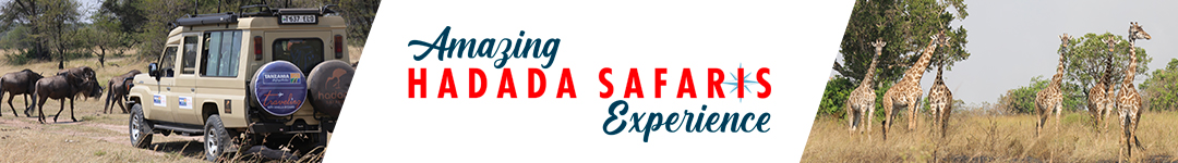 Hadada Safaris Logo Bar