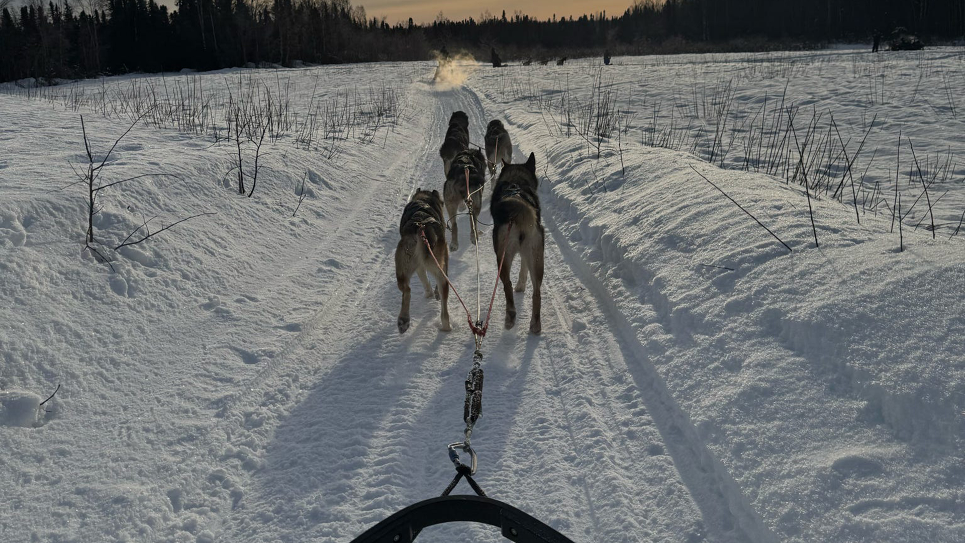 A photograph showing the Amazing Alaska Experience