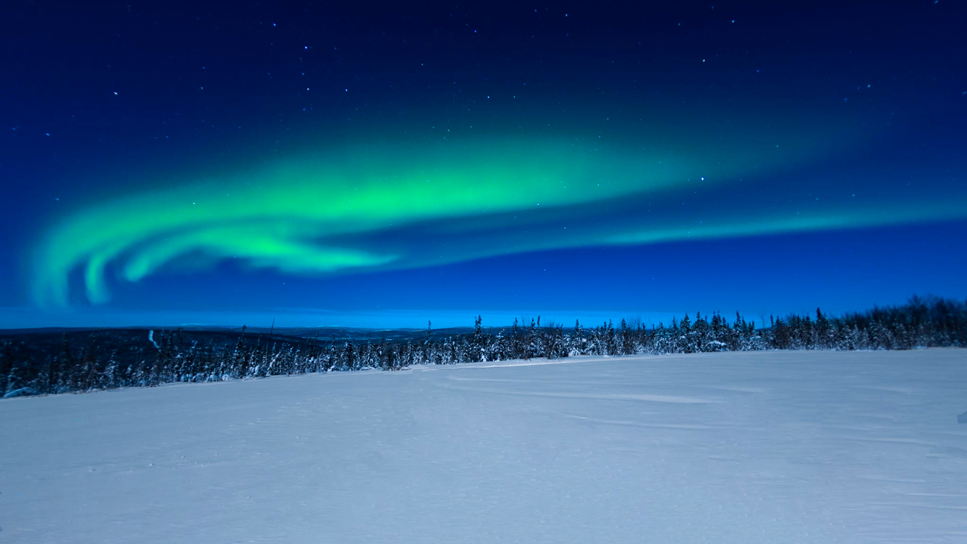 A photograph showing the Amazing Alaska Experience: Fairbanks