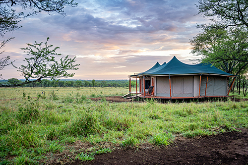 Boutique Safari Lodges