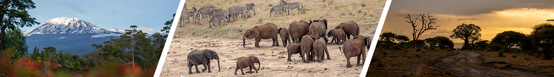 ADE Tanzania Image Bar