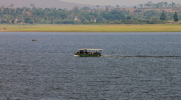 Peaceful River Boat Safaris
